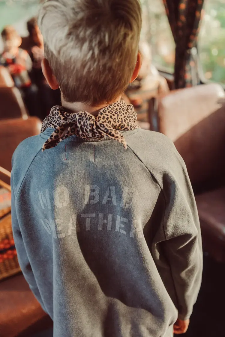 Piupiuchick Sweatshirt -  Grey w/ SUn & Cloud print