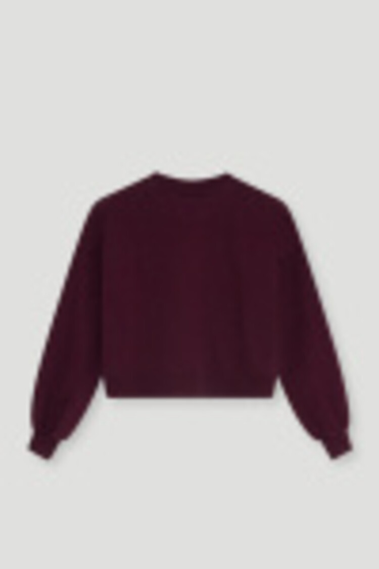 The New Society Lea Teen Sweatshirt - Winetasting