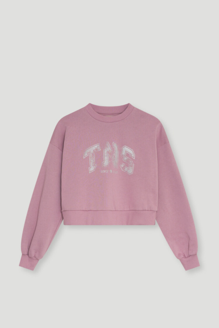 The New Society Willow Teen Crop Sweatshirt - Mauve Shadows