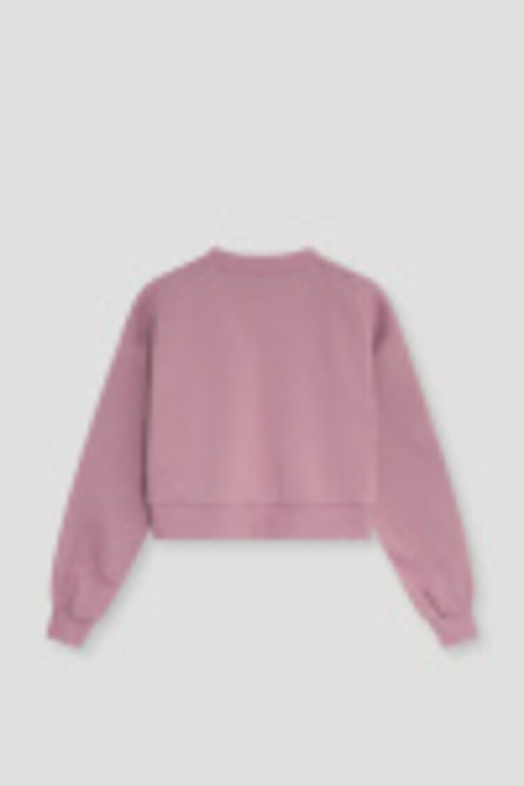 The New Society Willow Teen Crop Sweatshirt - Mauve Shadows