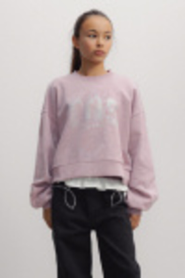The New Society Willow Teen Crop Sweatshirt - Mauve Shadows