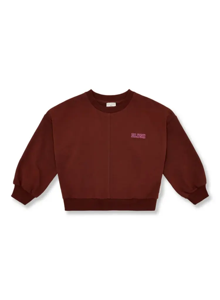 Petit Blush Luca Sweater - Brown