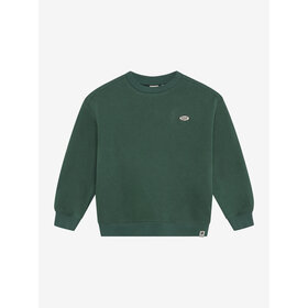 Daily7 Oversized Sweater Basic- Jungle Green