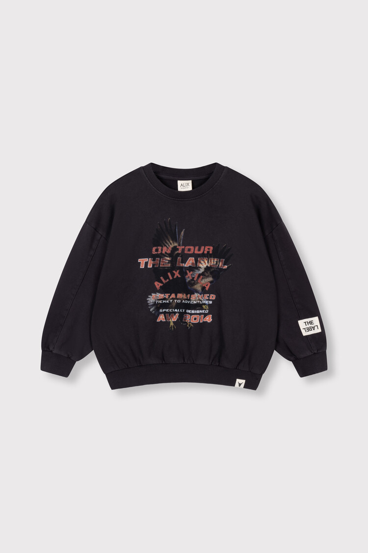 Alix the label Kids Knitted Eagle Sweater - Charcoal Grey