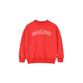 Jenest Bird Sweater - Spicy red