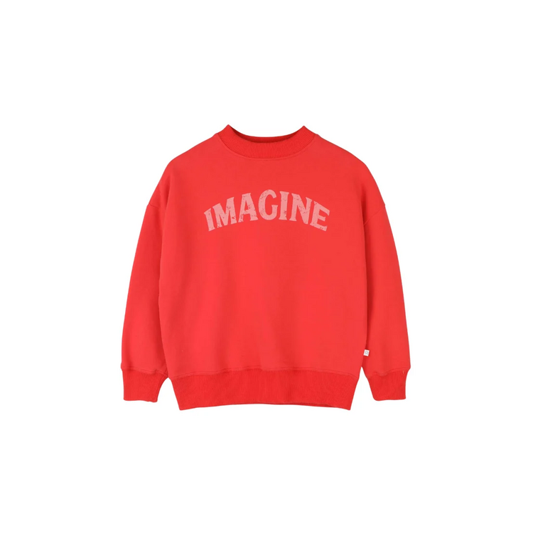 Jenest Bird Sweater - Spicy red