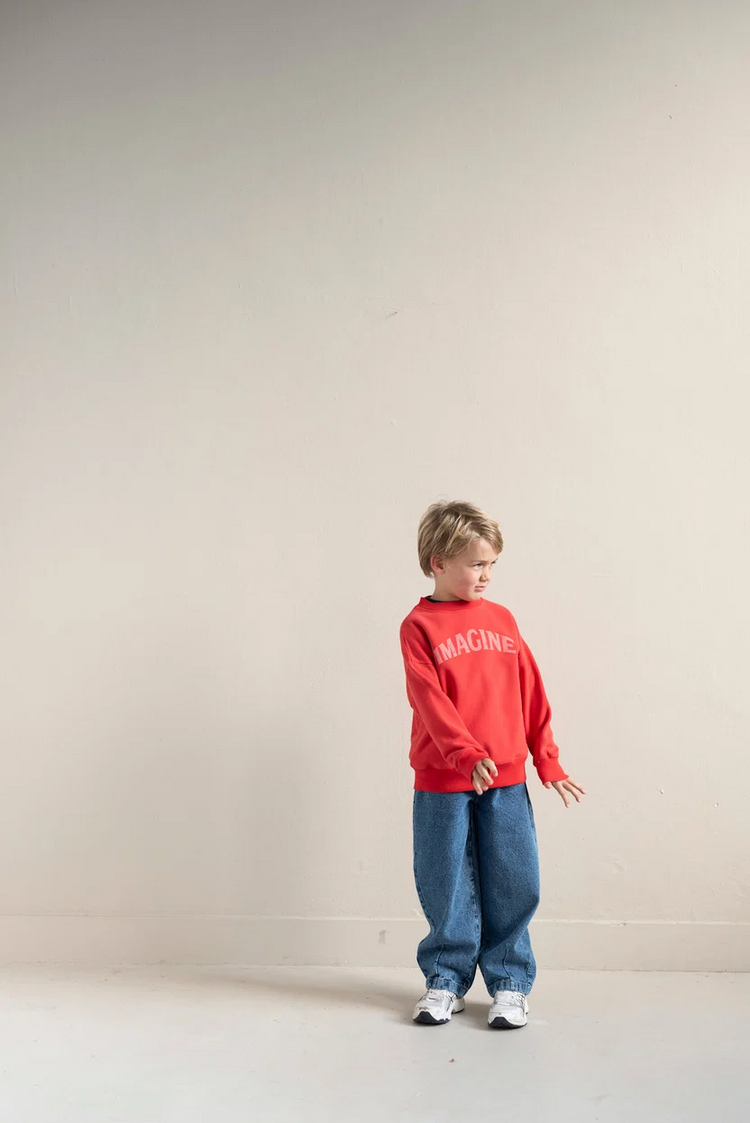 Jenest Bird Sweater - Spicy red