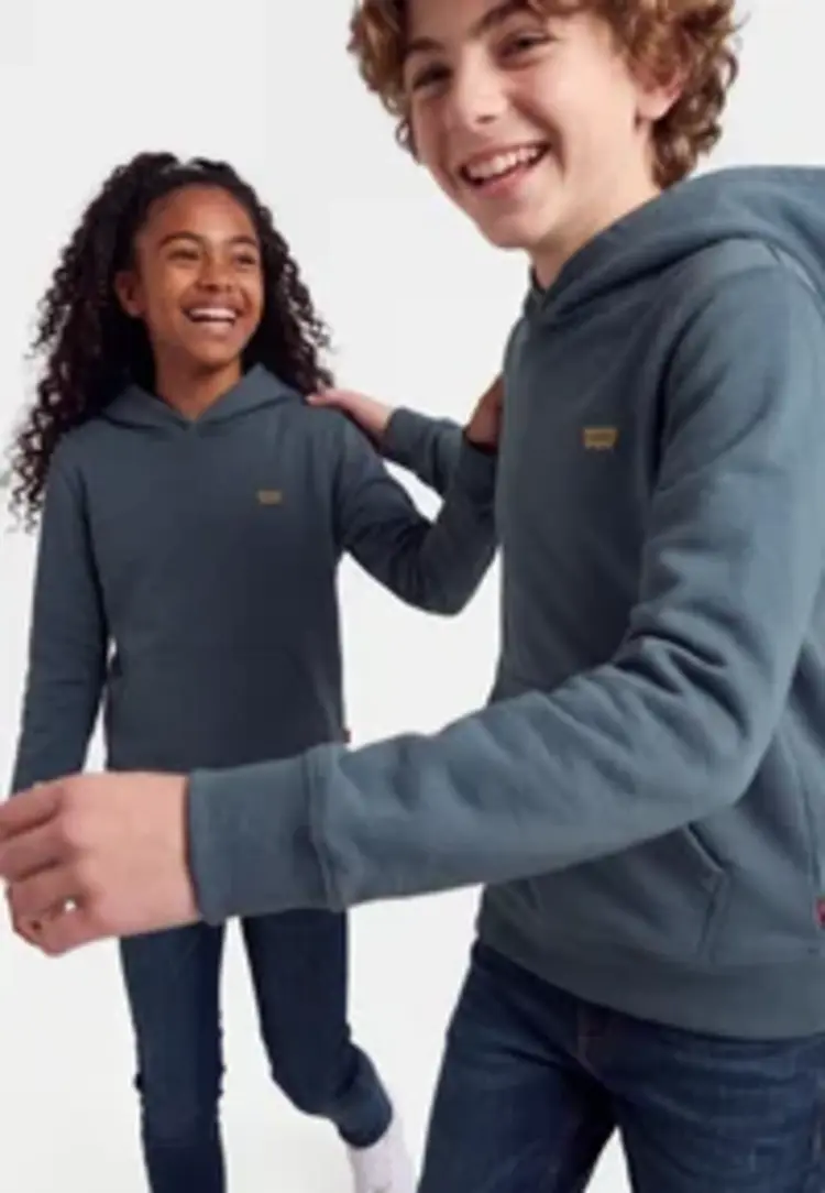 Levi's Batwing Hoodie - Dark Slate