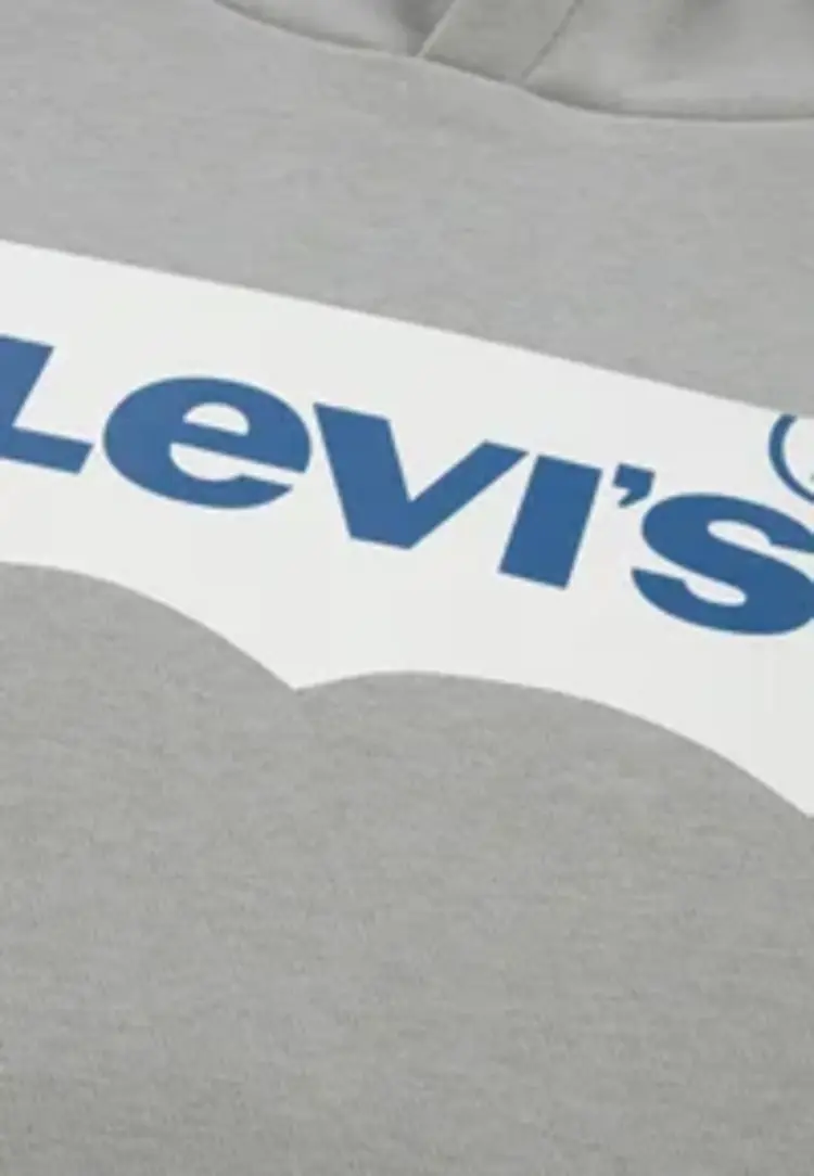 Levi's Batwing Hoodie - Ghost Gray