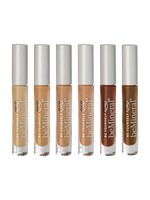 beMineral Perfect Cover Concealer