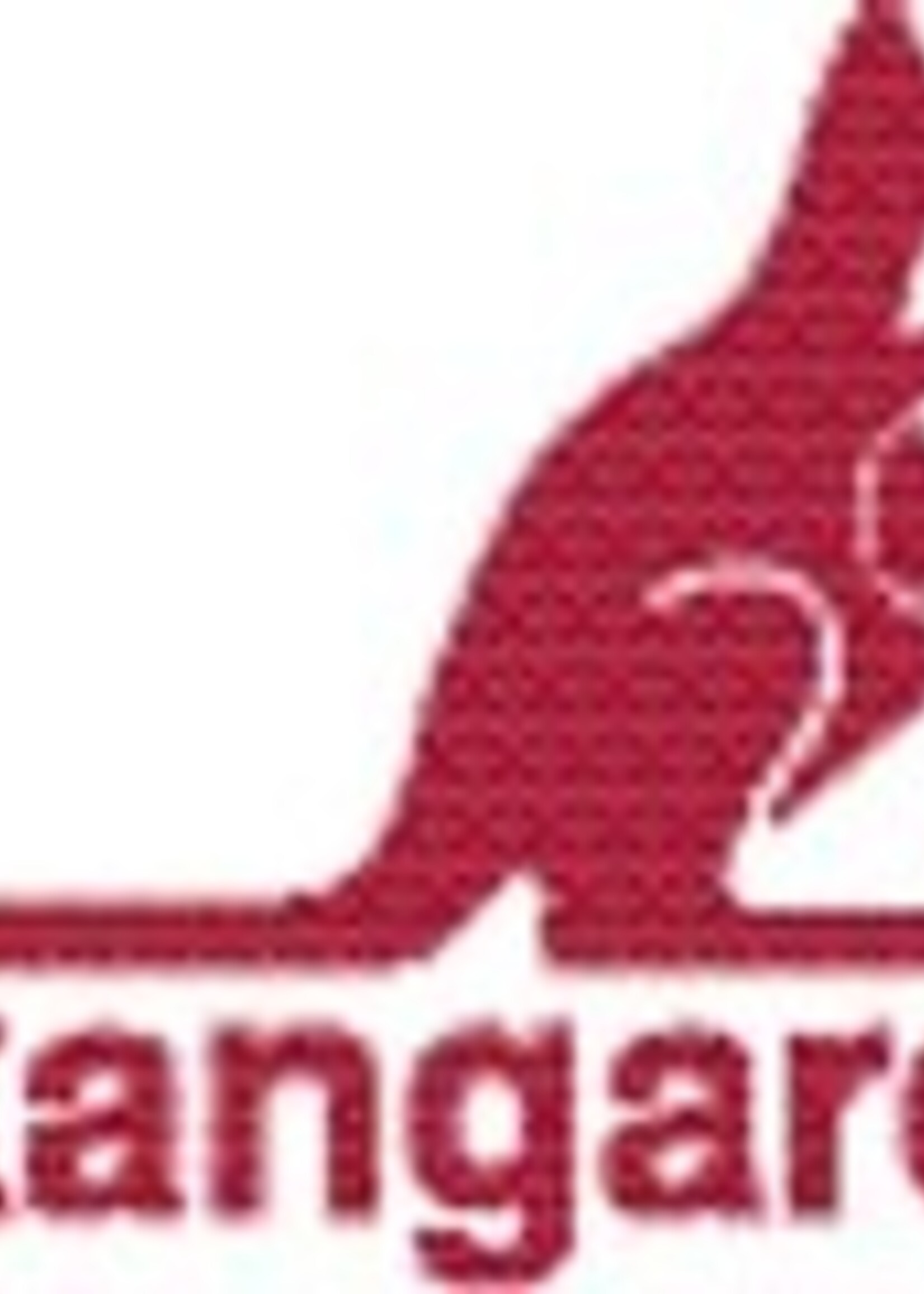 Kangaro Bloc de caisse Expres SI-40295 100x158mm 50x2 feuilles - SI-40925