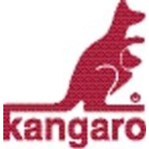 Kangaro Bloc de caisse Expres SI-40295 100x158mm 50x2 feuilles - SI-40925