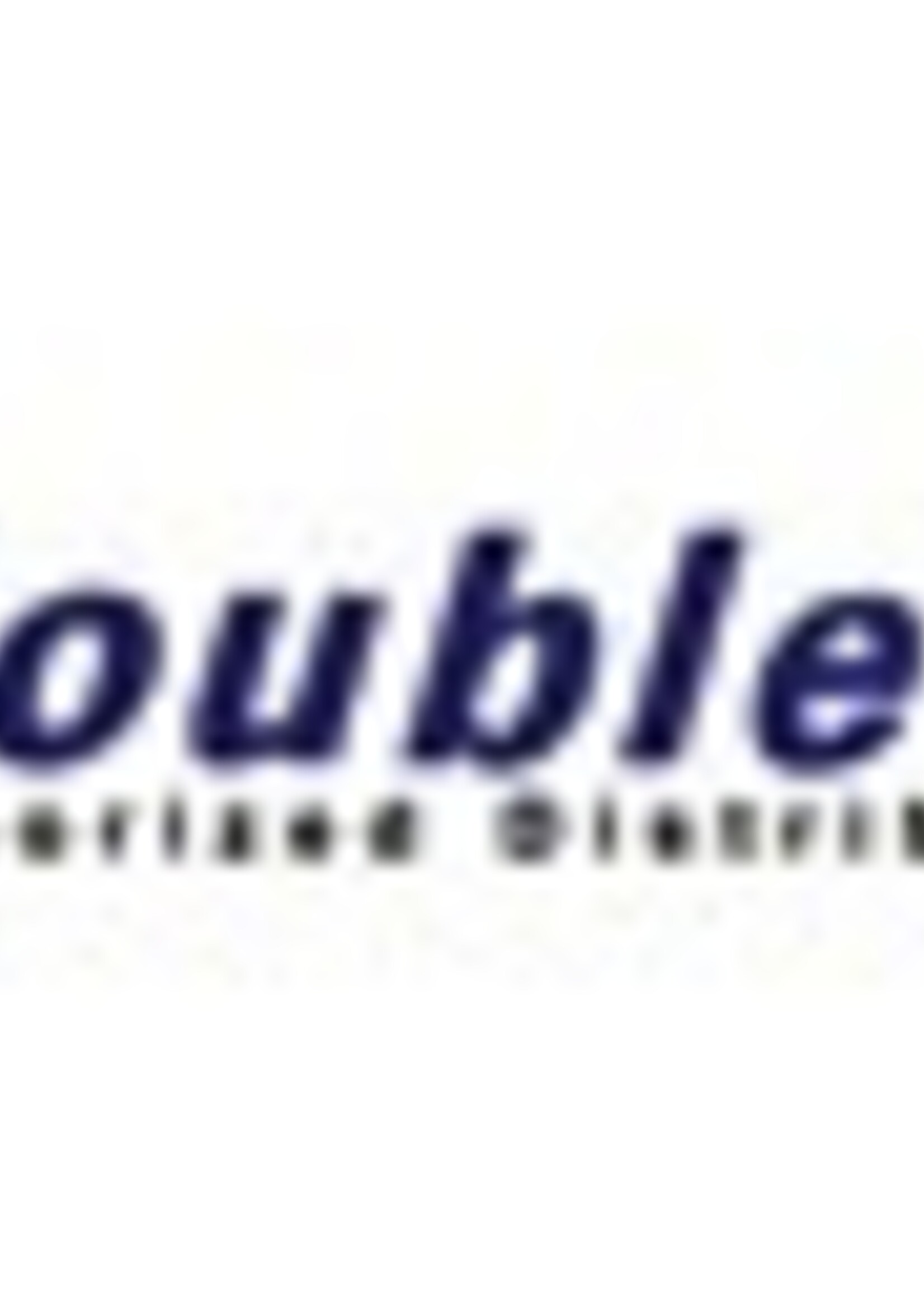 Double A Papier copieur Double A Premium A4 80g blanc boite 5x500 feuilles - D1022