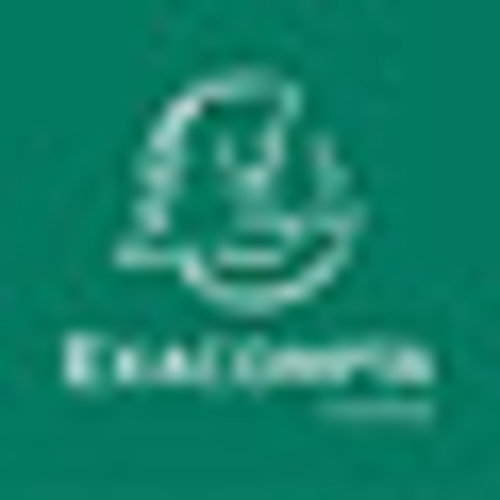 Exacompta Bande de séparation Exacompta 105x240mm assorti - 13495B