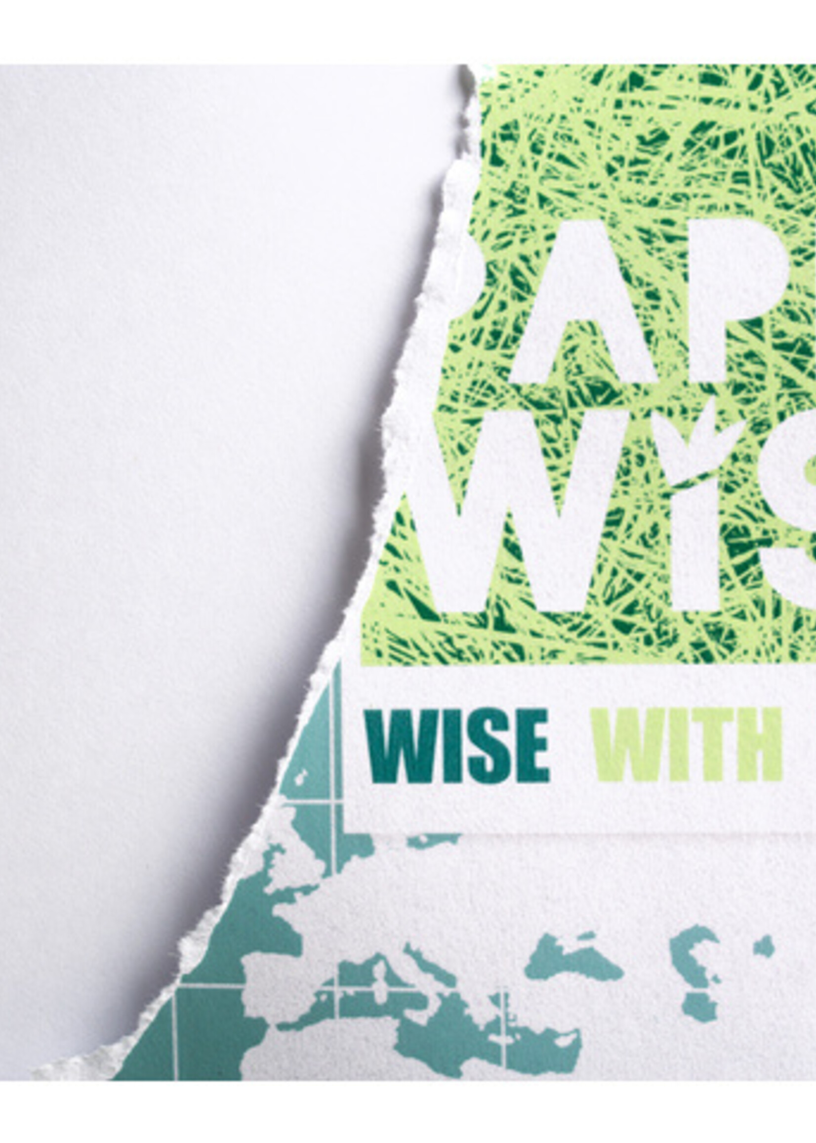 Paperwise ECO footprint Papier copieur Paperwise A3 80g blanc 500 feuilles - PW-101107