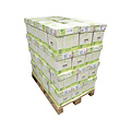 Paperwise ECO footprint paper  PaperWise kopieerpapier A4 Natural 72 gr 500 vel - PW-204103