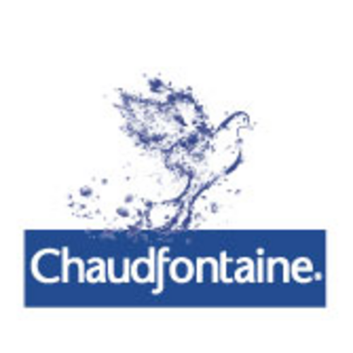 Chaudfontaine Water Chaudfontaine blauw petfles 0.50l