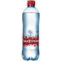 Chaudfontaine Water Chaudfontaine sparkling petfles 0.50l