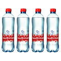 Chaudfontaine Water Chaudfontaine sparkling petfles 0.50l