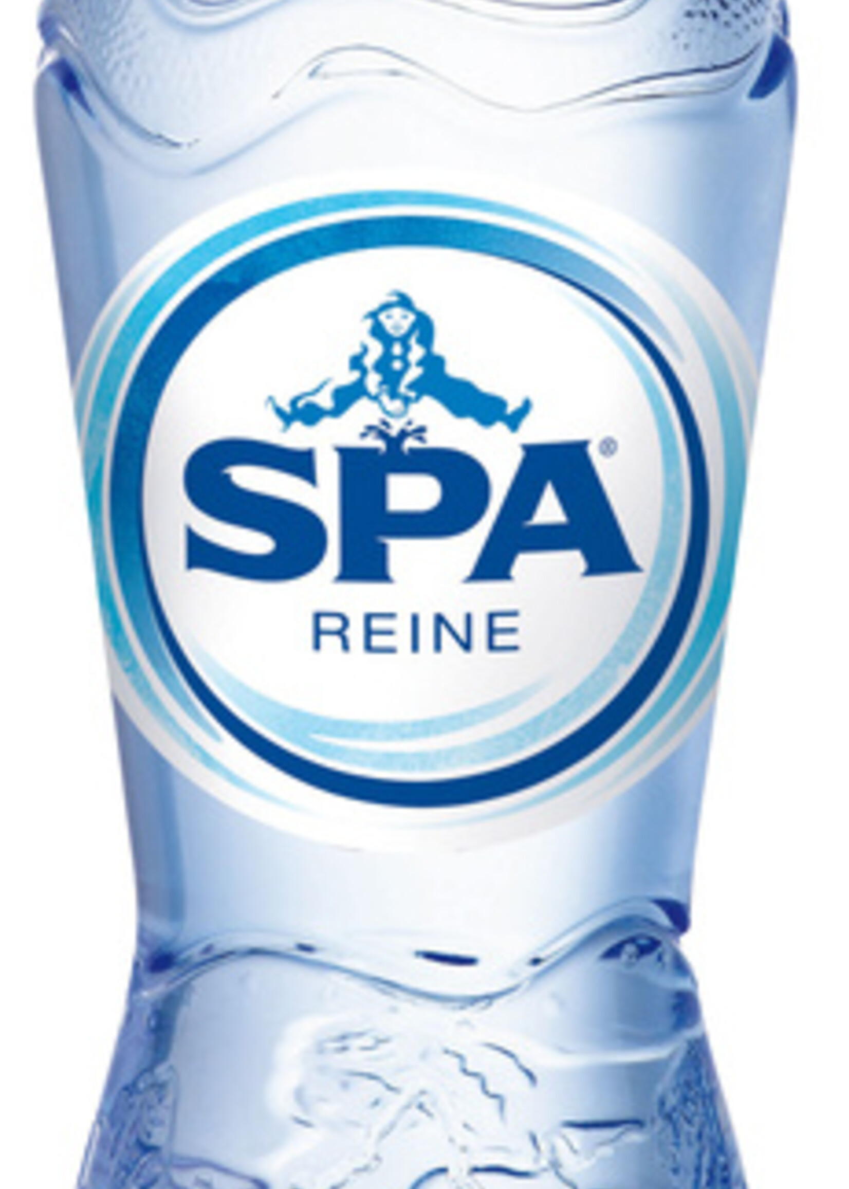 Spa Eau Spa Reine non pétillante bouteille PET 0,33L