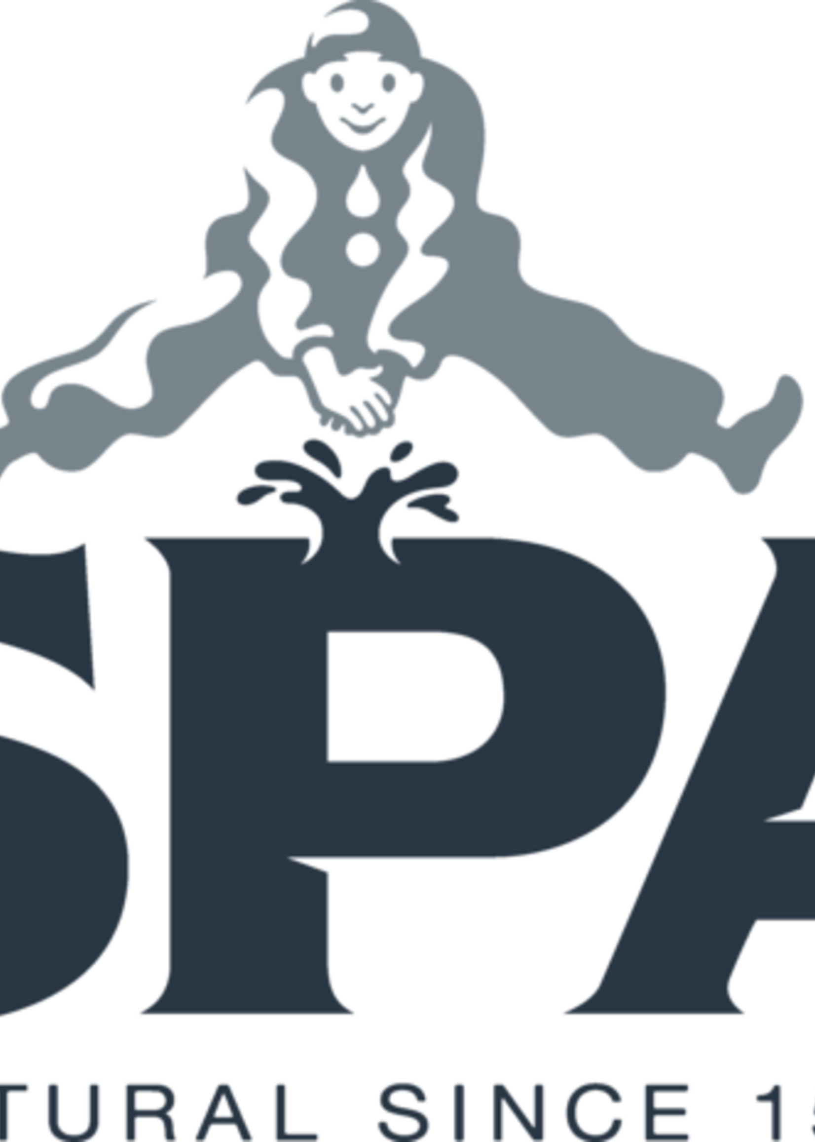 Spa Eau Spa Reine non pétillante bouteille PET 0,33L