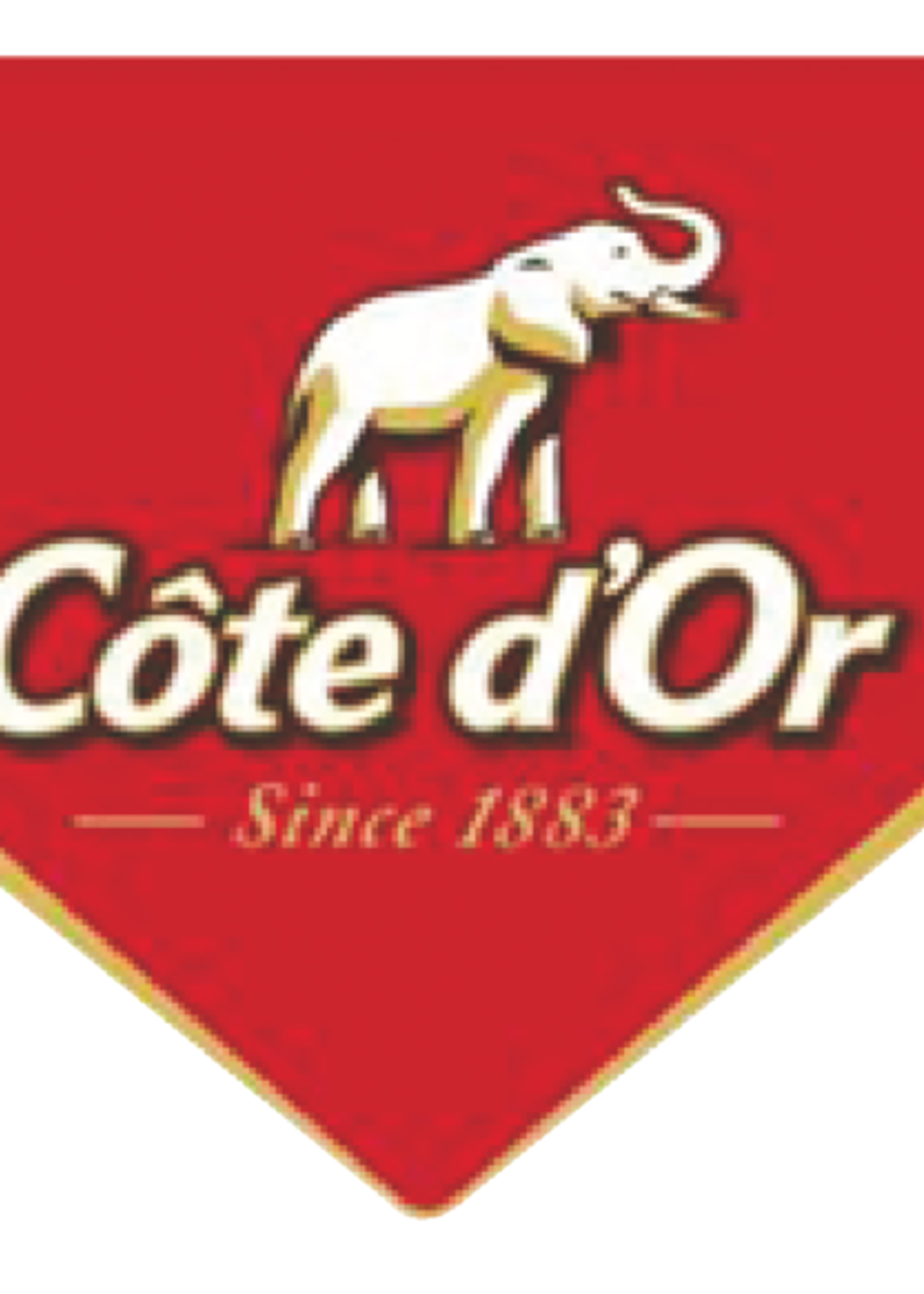 Cote d'or Chocolat Côte d’Or Mignonnette 10g lait 120  pièces
