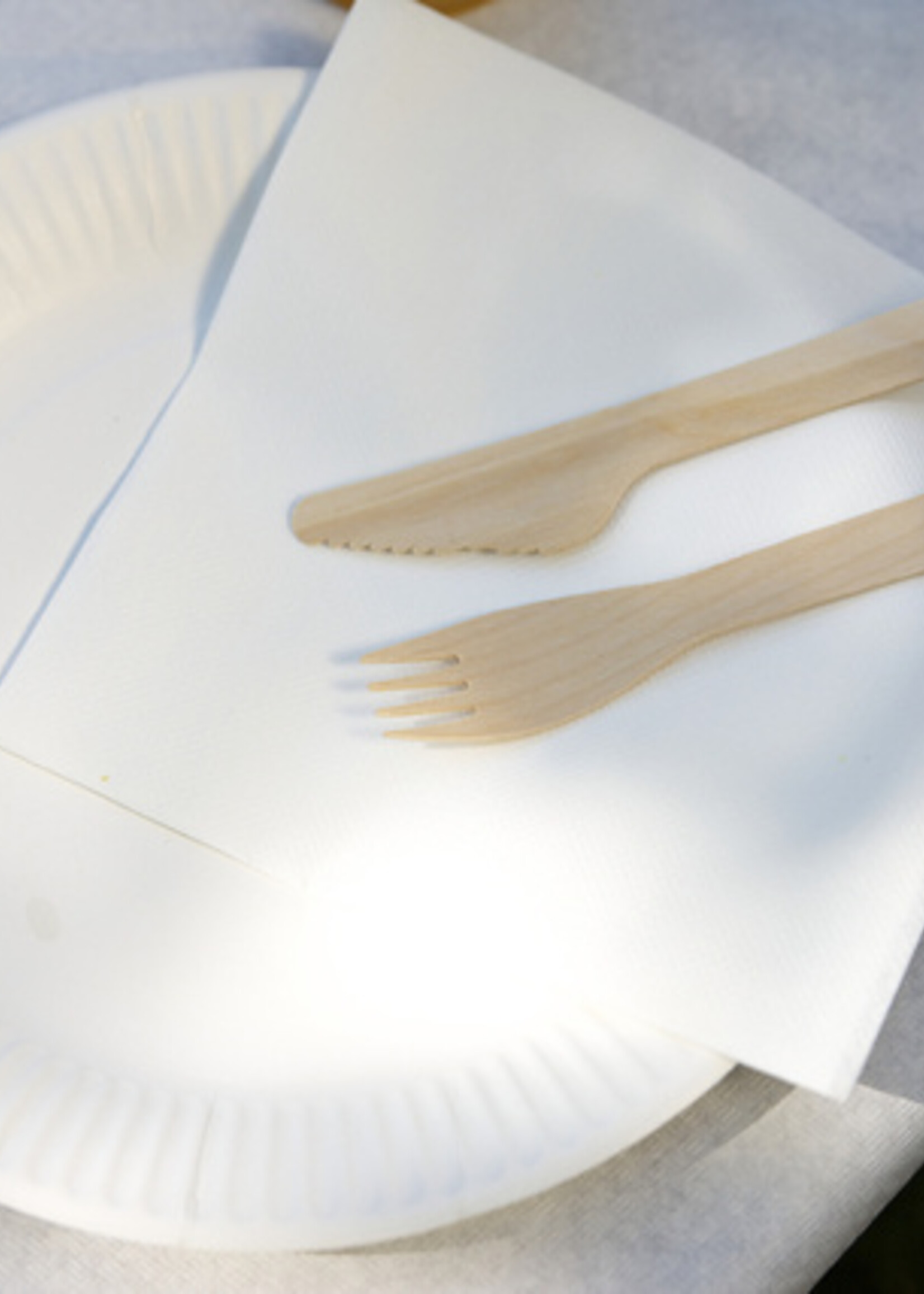 IEZZY disposables Assiette IEZZY 230mm carton blanc 100 pièces