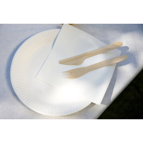 IEZZY disposables Assiette IEZZY 230mm carton blanc 100 pièces