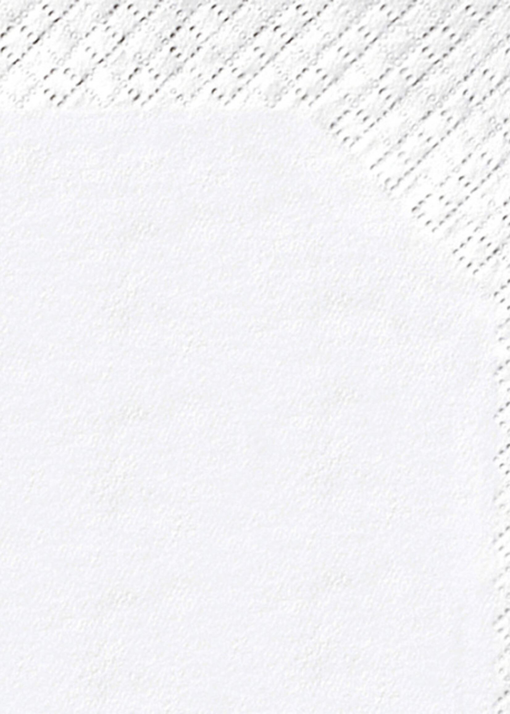 Satino by WEPA Zakdoekjes Satino 15x10 stuks