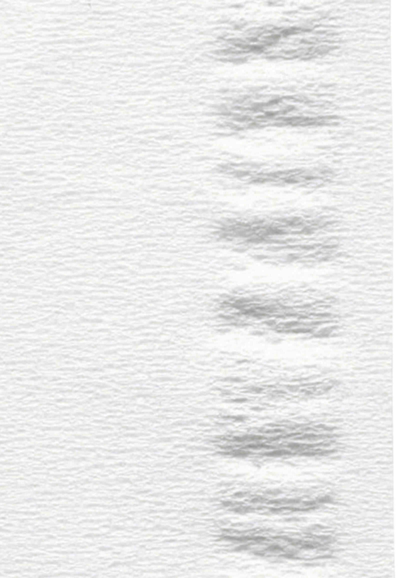 Satino by WEPA Mouchoirs démaquillants Satino 2 ép 100 pièces