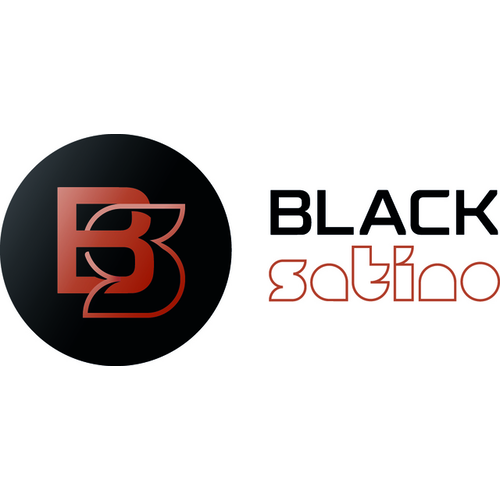 BlackSatino Brosse toilette BlackSatino avec support Noir