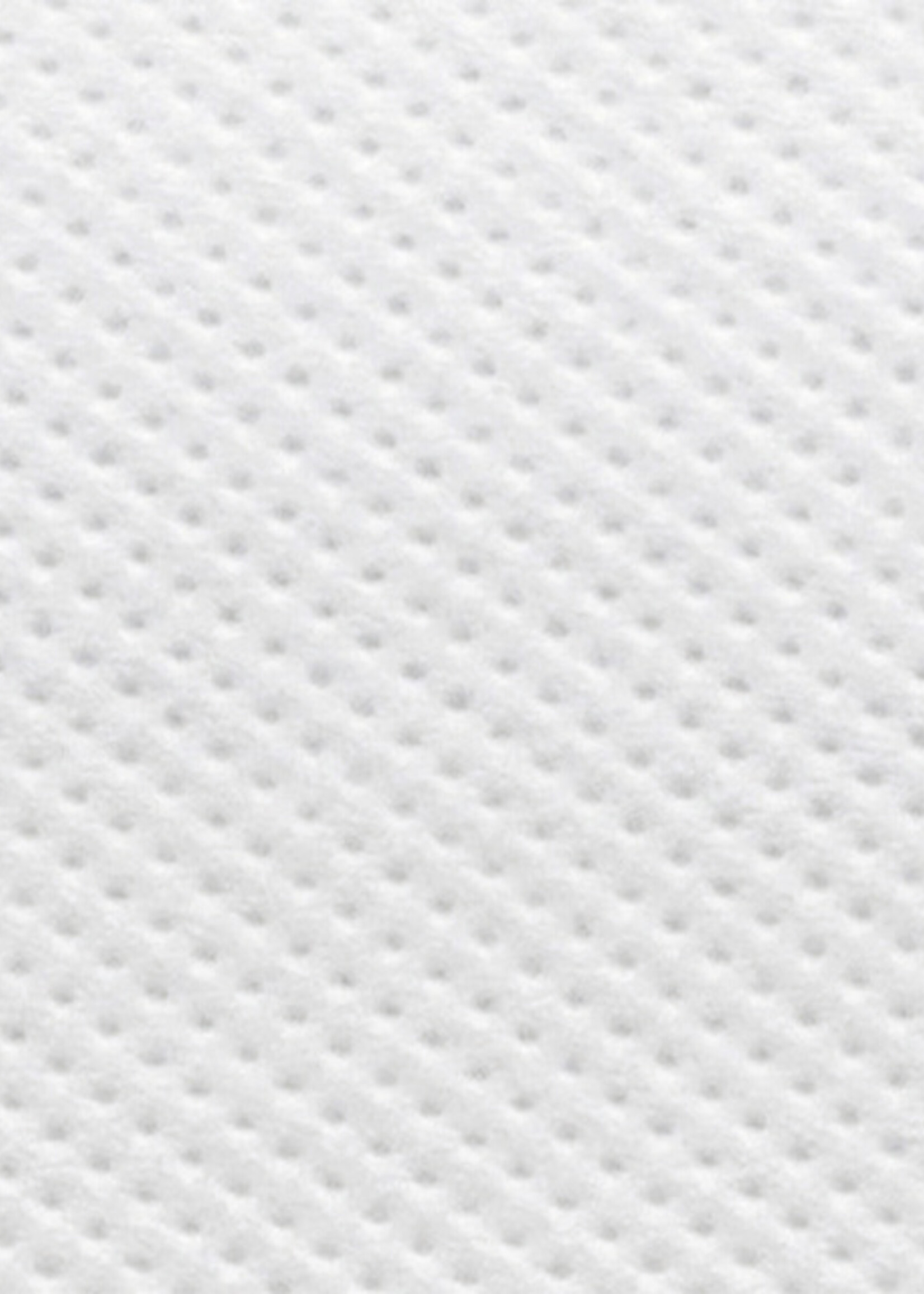 Satino by WEPA Poetsrol Satino Comfort Centrefeed mini 1-laags 120m 12rol