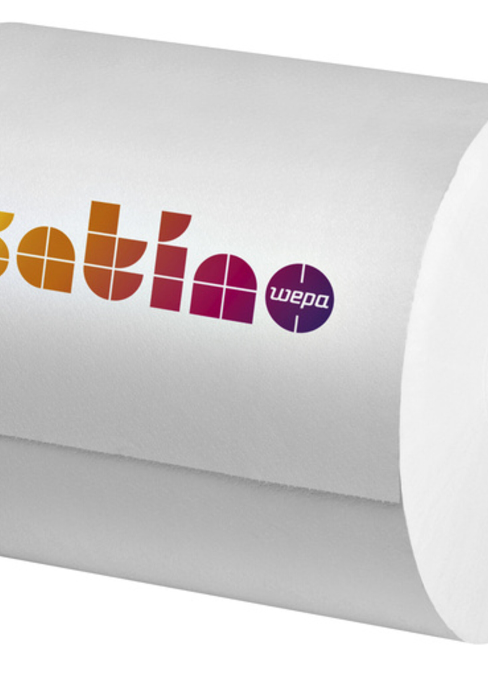 Satino by WEPA Rouleau d’essuyage Satino Premium 2 ép 25cmx370m blanc 2 rouleaux