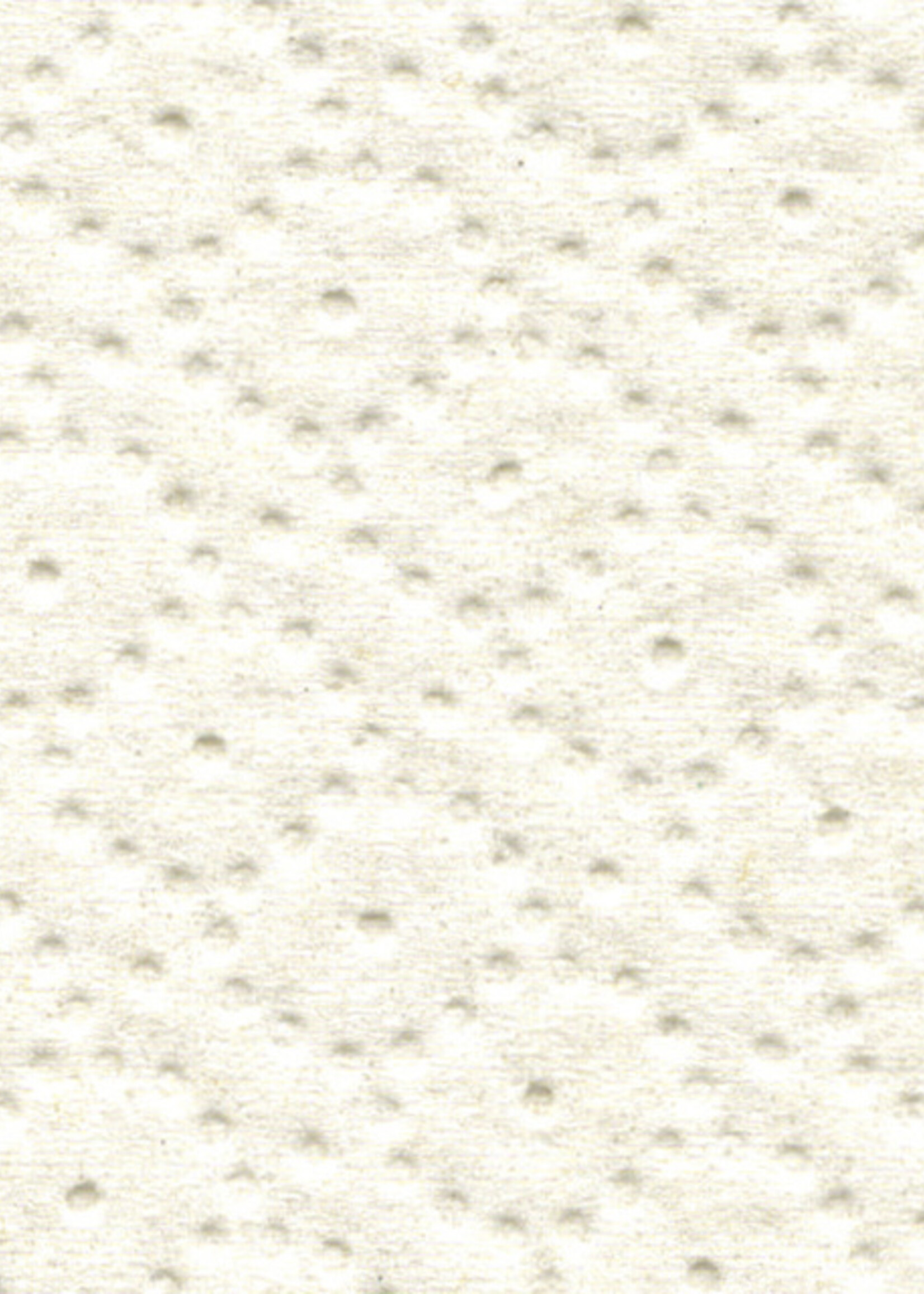 Satino by WEPA Rouleau d’essuyage Satino Premium 2 ép 25cmx370m blanc 2 rouleaux