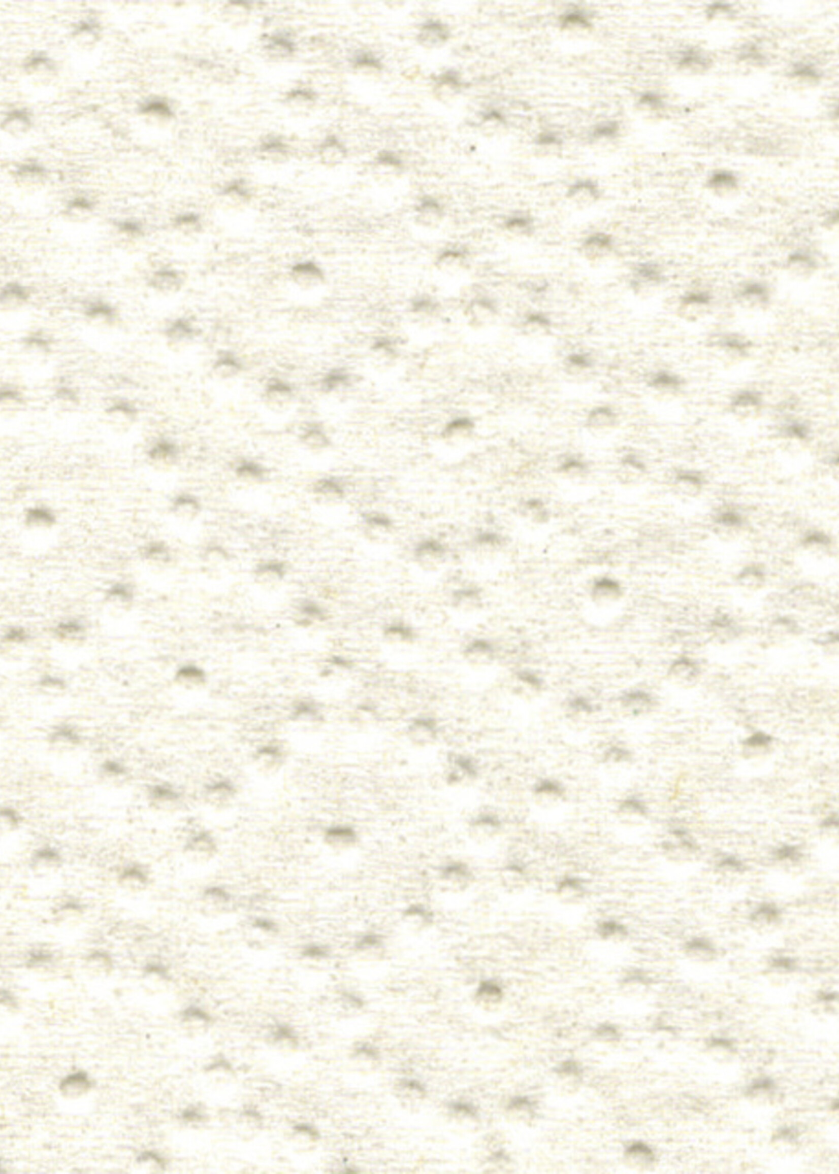 Satino by WEPA Papier toilette Satino Confort 2 épaisseurs 400 feuilles blanc 8 rouleaux