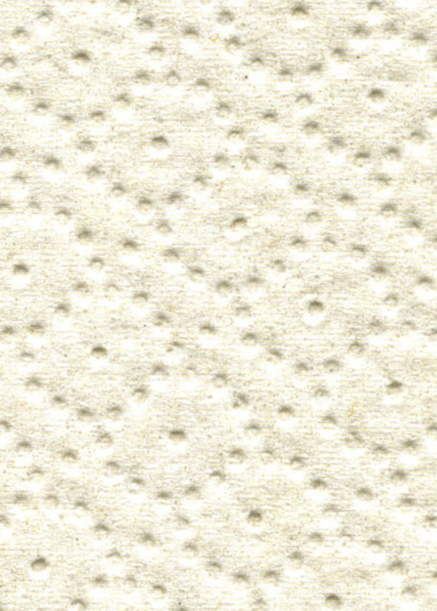 Satino by WEPA Toiletpapier Satino Comfort Mini 2-laags 180m 12rollen