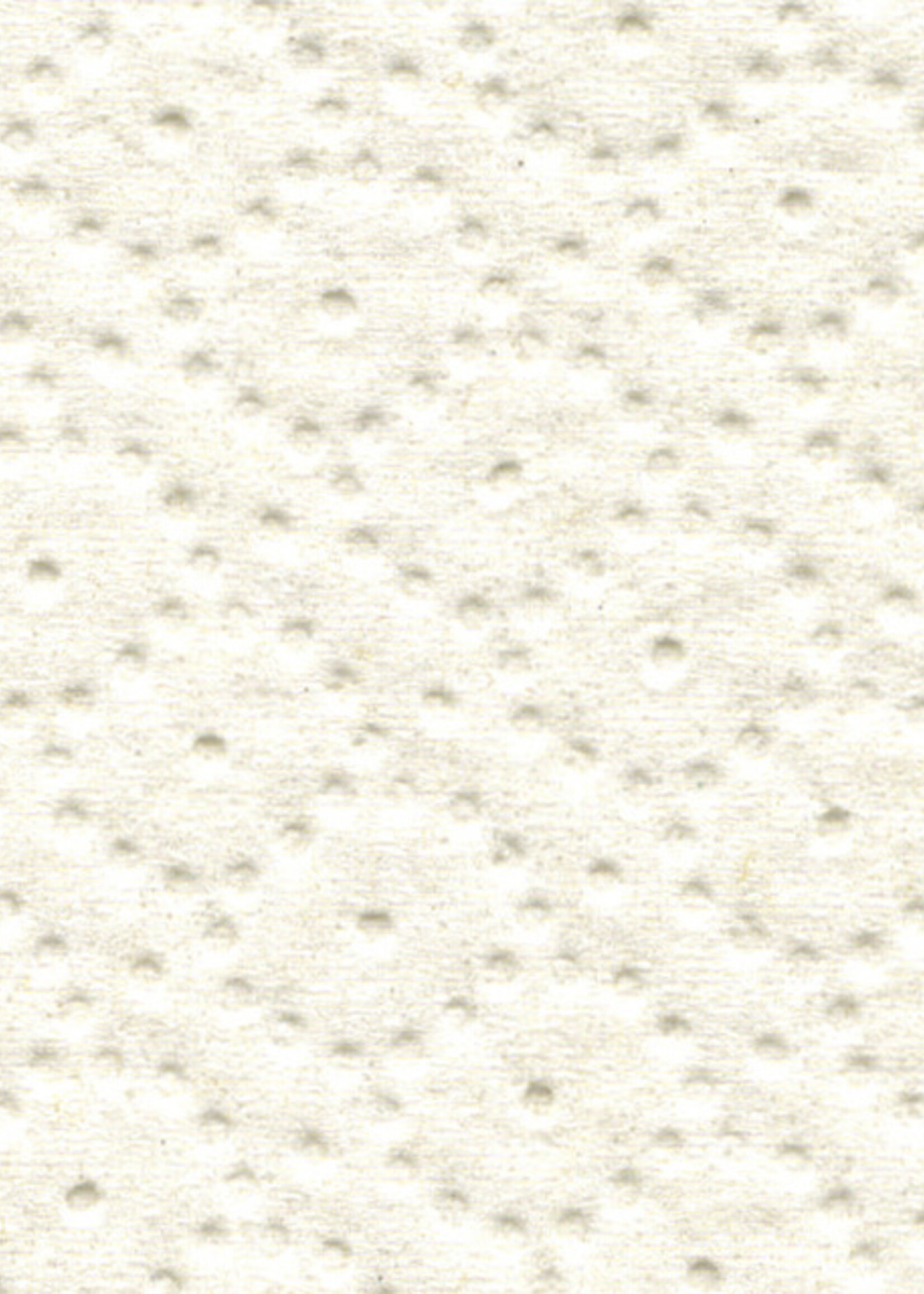 Satino by WEPA Toiletpapier Satino Jumborol Comfort 2-laags 66mmx380m wit