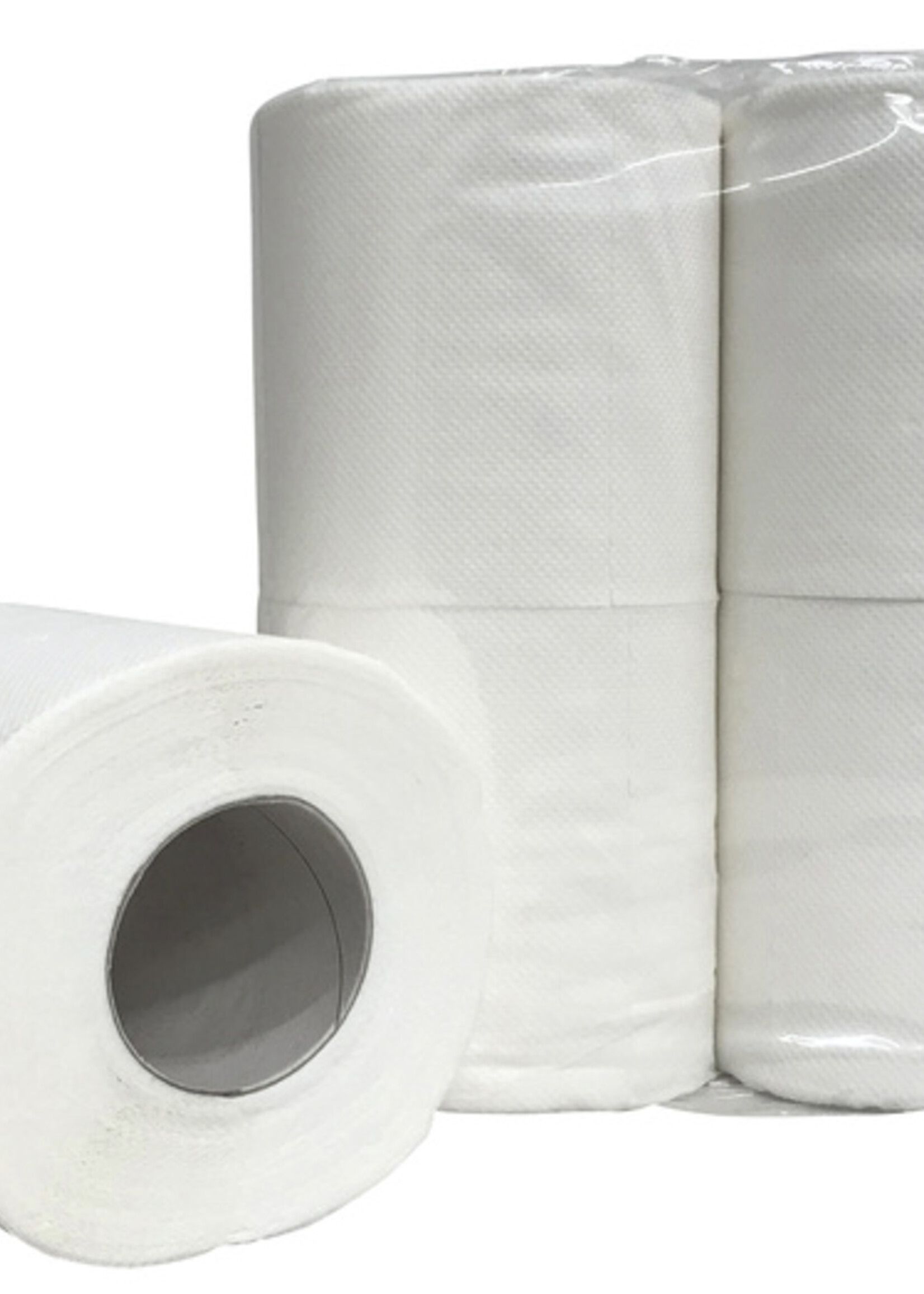 Euro Papier toilette Blanco 2 épaisseurs 200 feuilles 48 rouleaux