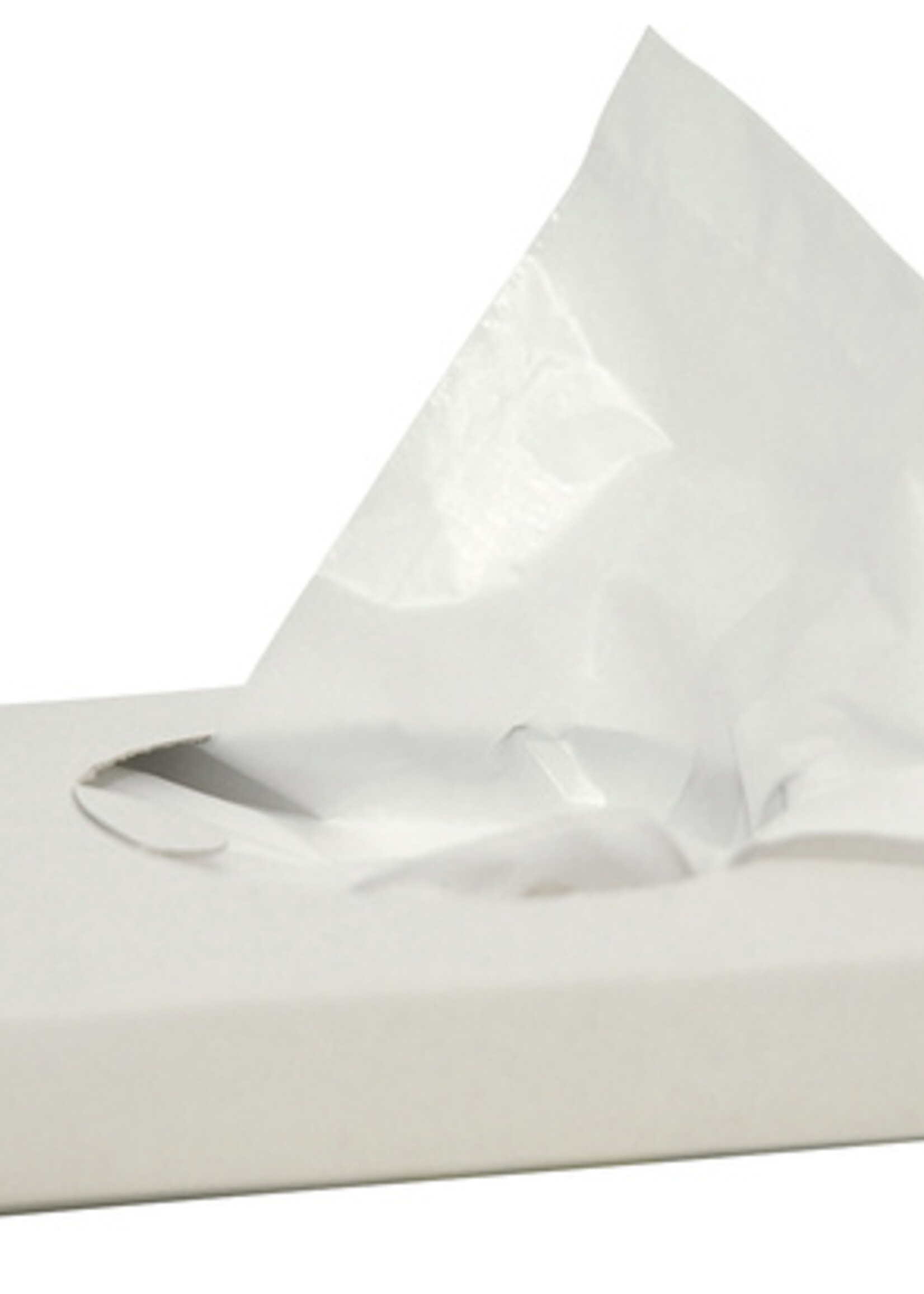 Euro Sachet serviette hygiénique en plastique 50x 30 pièces