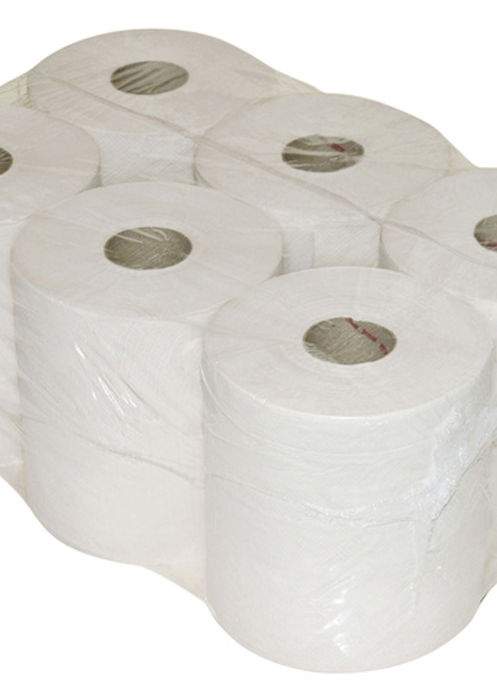 Euro Toiletpapier Euro mini jumbo 2-laags 180m 12rol
