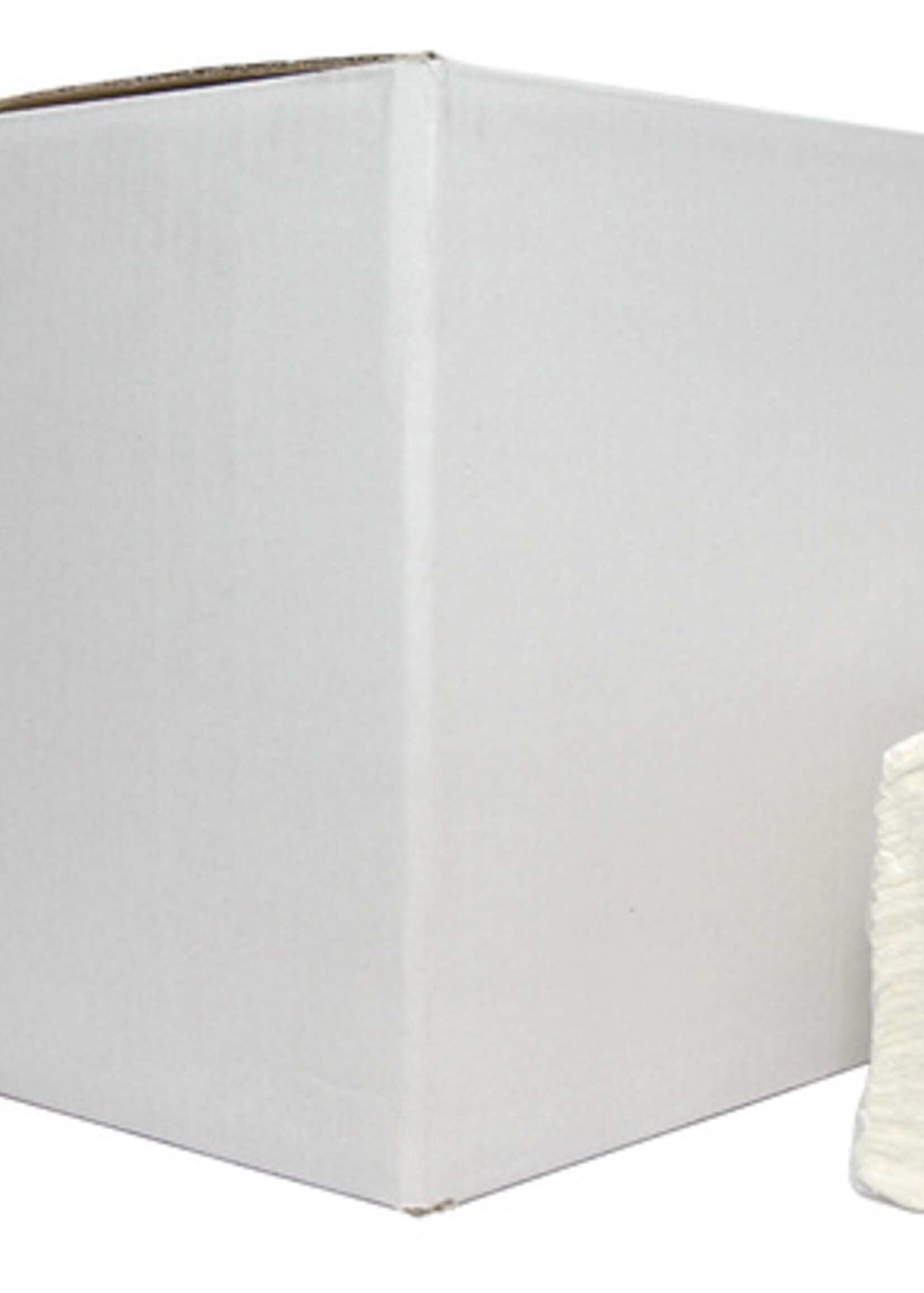 Euro Handdoek Blanco C-vouw 2L 31x25cm 2432st