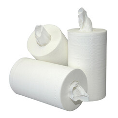 Rouleau de nettoyage Blanco Mini 2 épaisseurs 20cmx60m 12 rouleaux