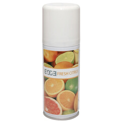 Désodorisant Euro aérosol Fresh Citrus 12 pièces