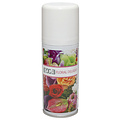 Euro Luchtverfrisser Euro aerosol floral delight