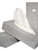 Euro Tissue Facial Euro 2-laags 100stuks