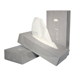 Tissue Facial Euro 2-laags 100stuks