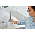 Tesa Toiletborstel Tesa Smooz 40316 chroom