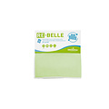 Greenspeed Microvezeldoek Greenspeed Re-belle 40x40cm groen