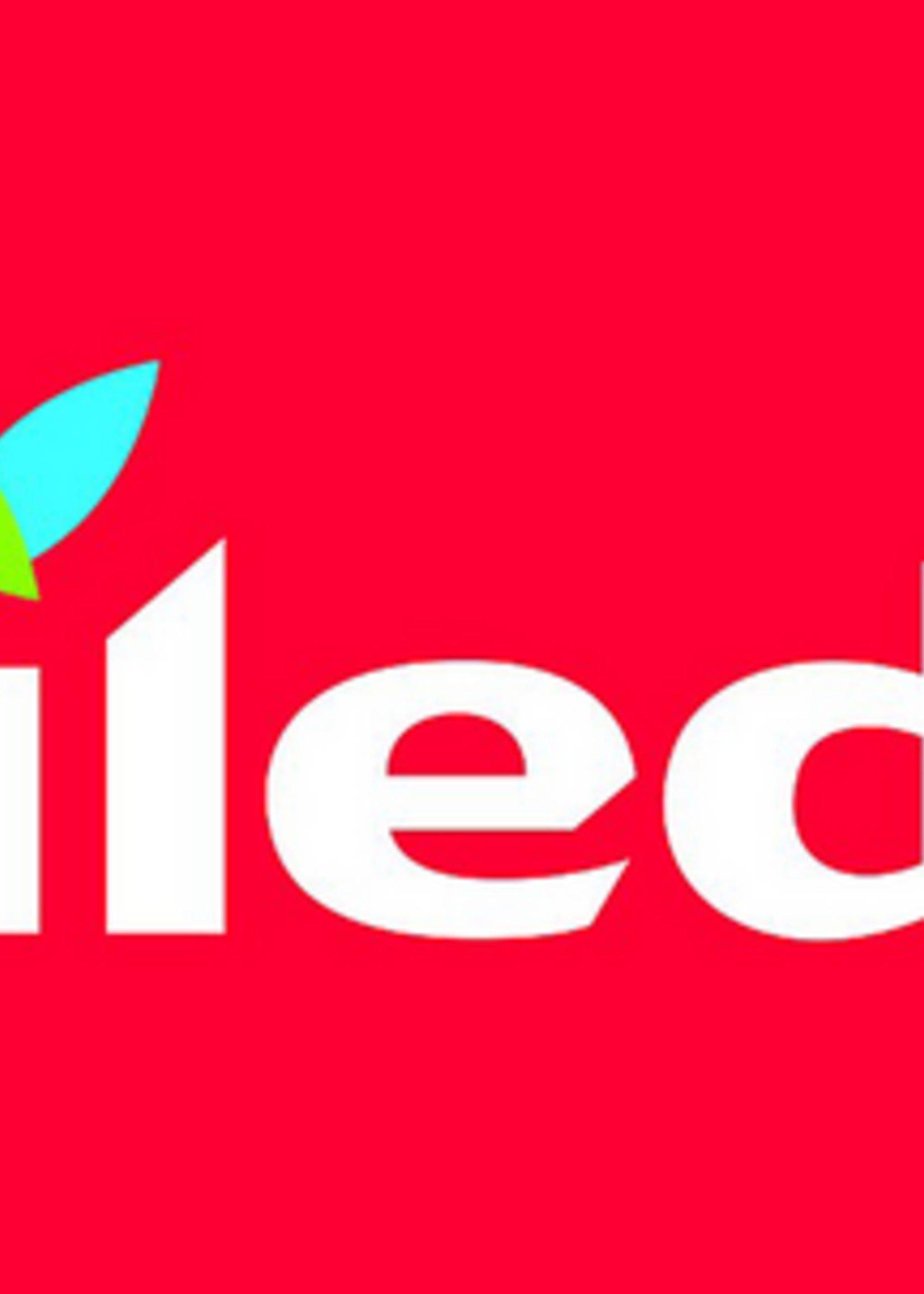 Vileda Stoffer/Blik Vileda Set Handy