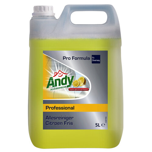 Andy Nettoyant multi-usages Andy citron frais 5 litres